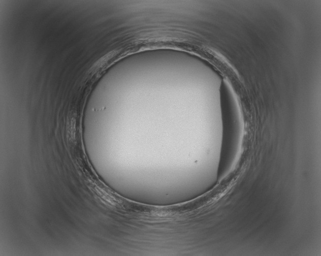 X0000082950777200702222312