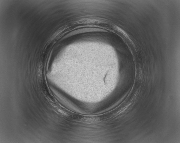 X0000082950778200702222312