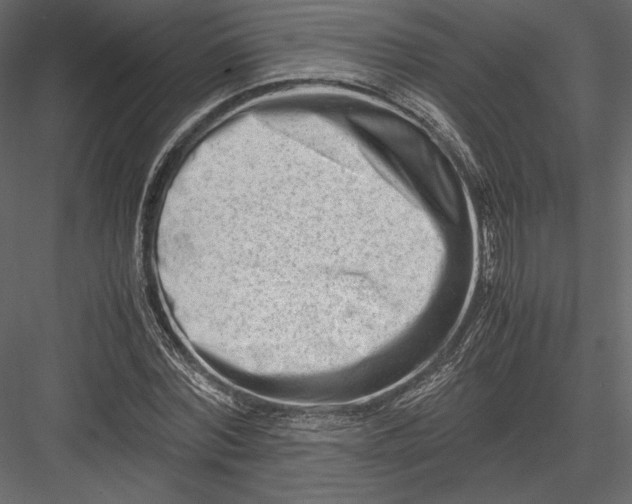 X0000082950780200702222312