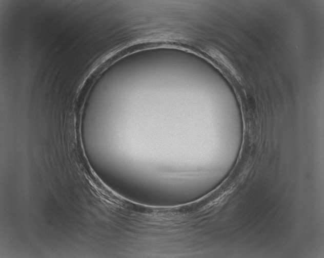 X0000082950781200702222312