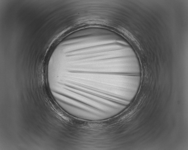 X0000082950782200702222312