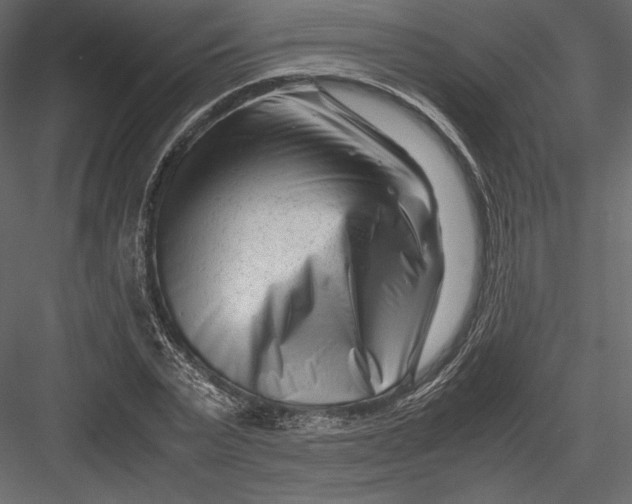 X0000082950783200702222312