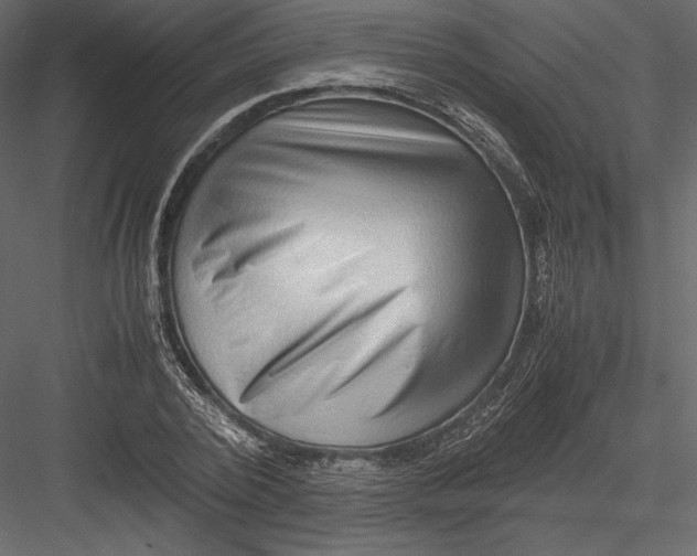 X0000082950784200702222312