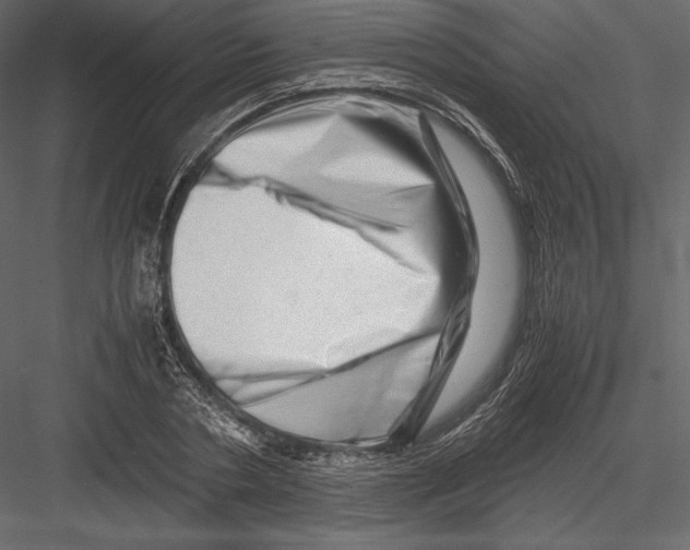 X0000082950786200702222312