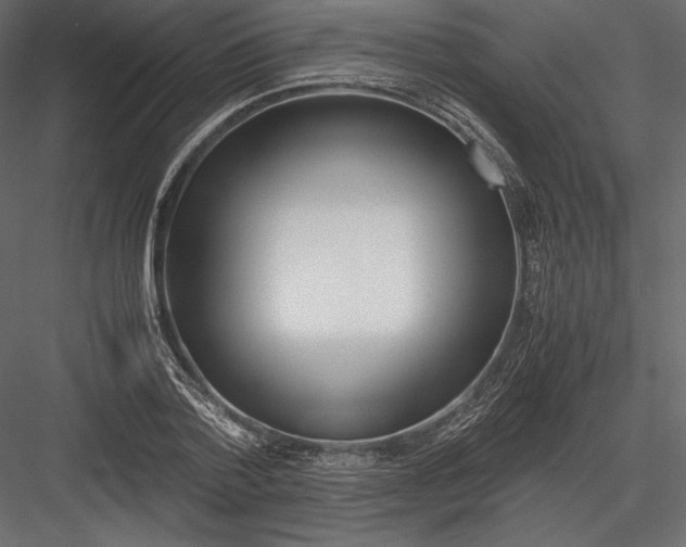 X0000082950788200702222312