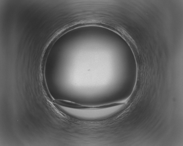 X0000082950789200702222312