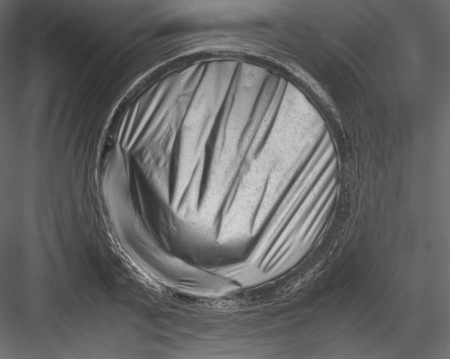 X0000082950791200702222312