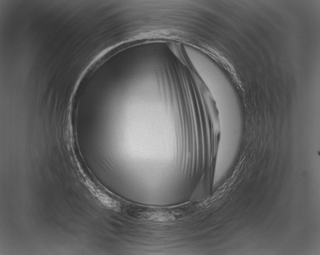 X0000082950792200702222312