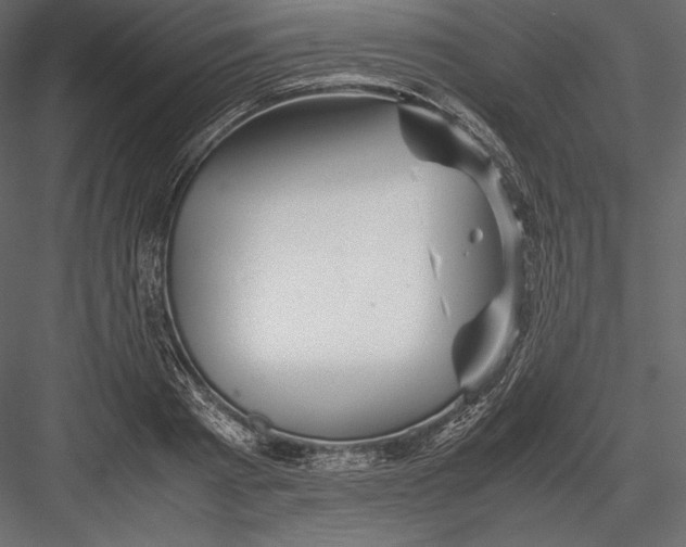 X0000082950793200702222312