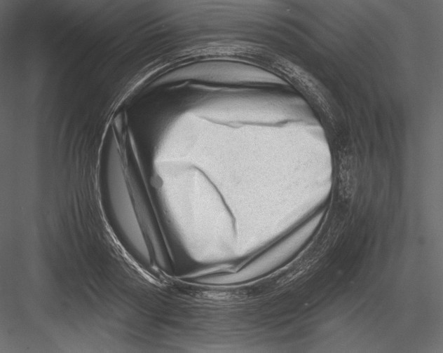 X0000082950794200702222312