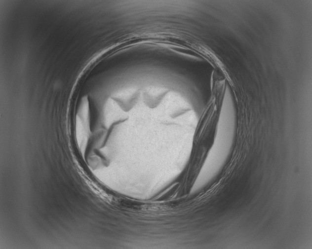 X0000082950795200702222312