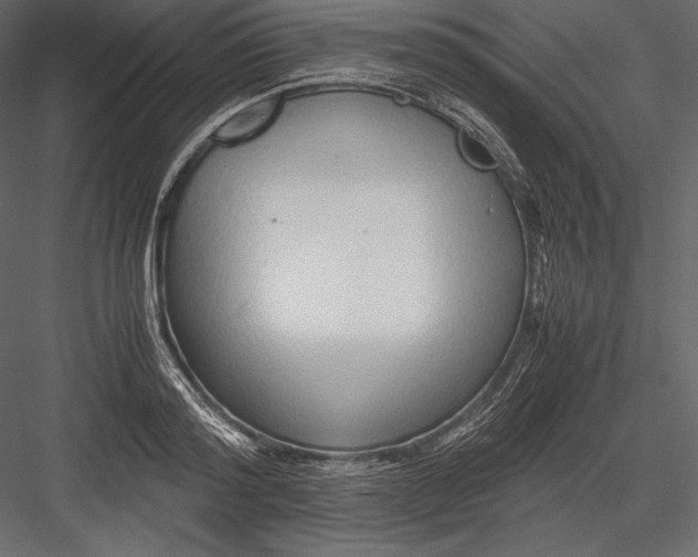 X0000082950796200702222312