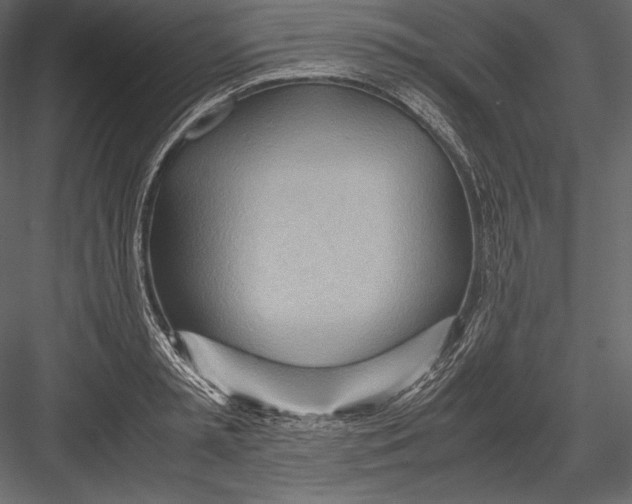 X0000082950797200702222312