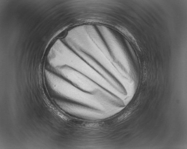 X0000082950798200702222312