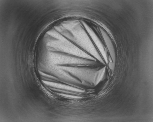 X0000082950799200702222312