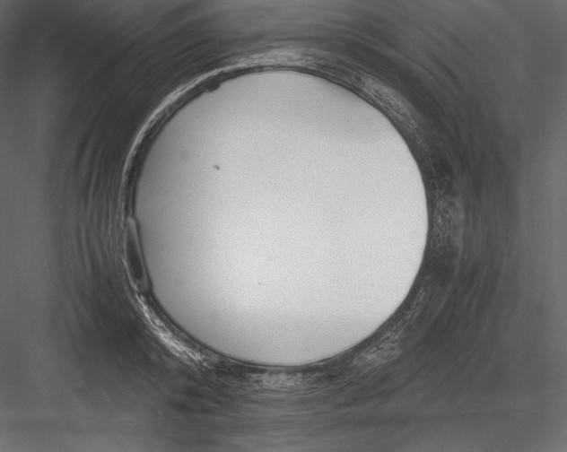 X0000082950800200702222312