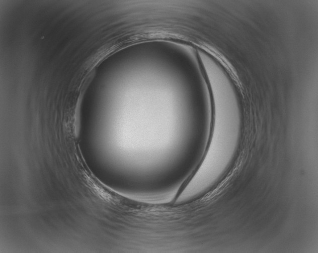 X0000082950801200702222312