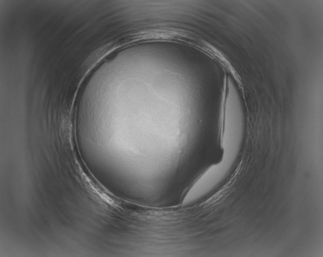 X0000082950802200702222312