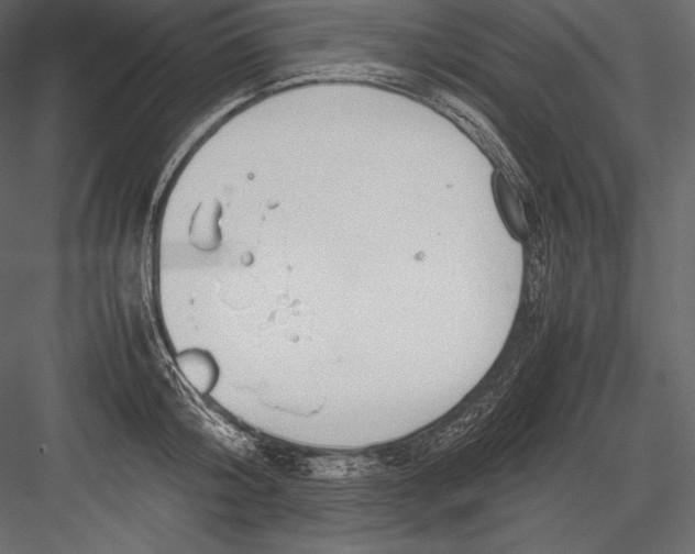 X0000082950804200702222312