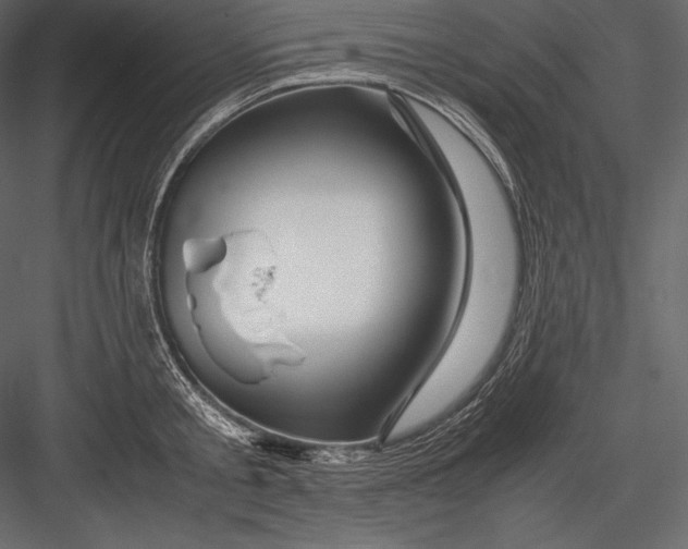 X0000082950805200702222312