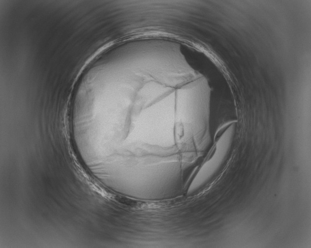 X0000082950806200702222312