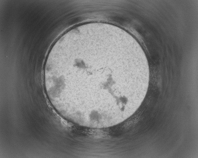 X0000082950807200702222311