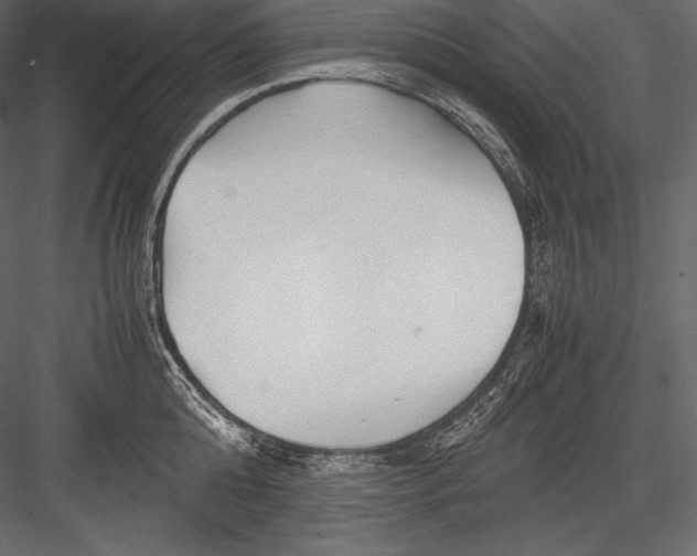 X0000082950808200702222311