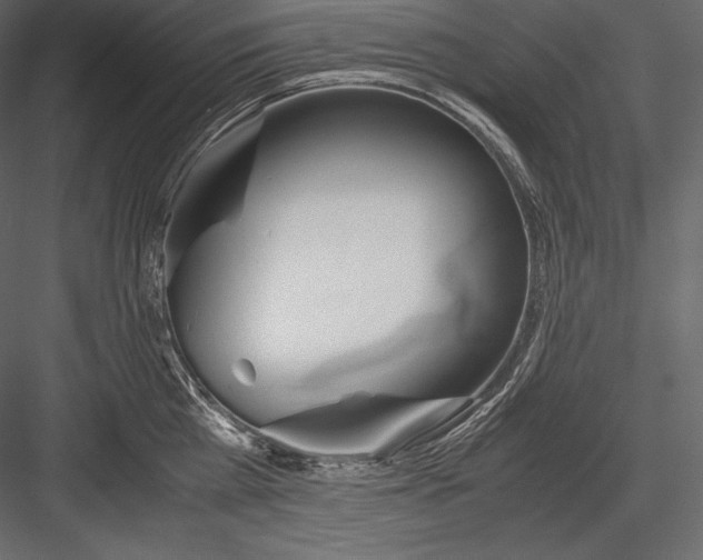 X0000082950809200702222311