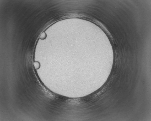 X0000082950810200702222311