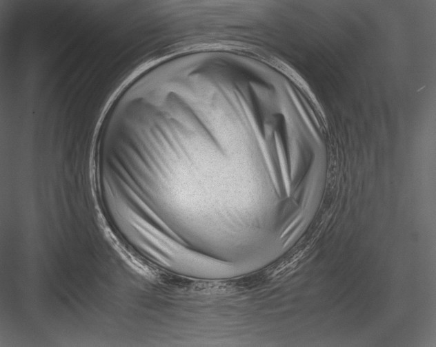 X0000082950811200702222311