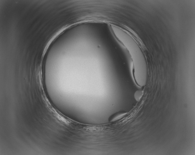 X0000082950812200702222311