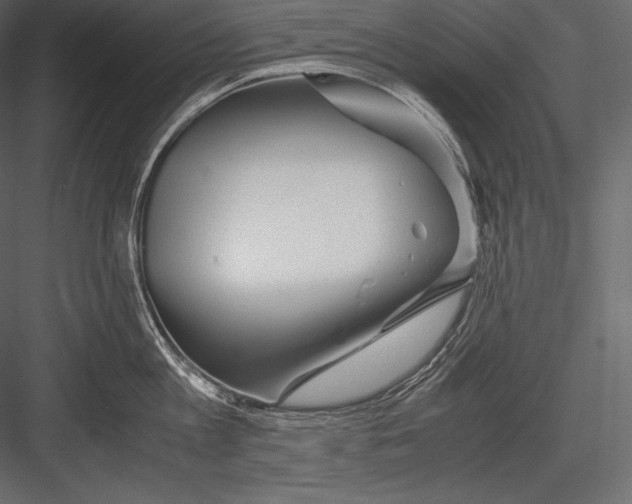 X0000082950813200702222311