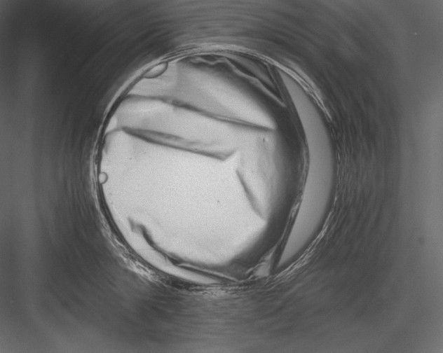 X0000082950814200702222311