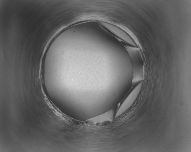 X0000082950815200702222311