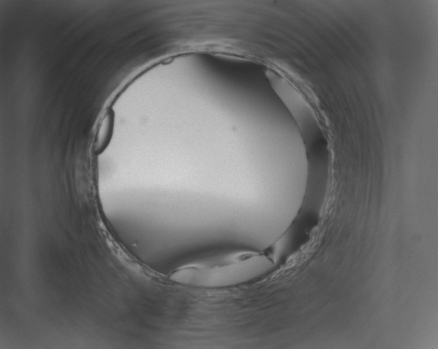 X0000082950816200702222311