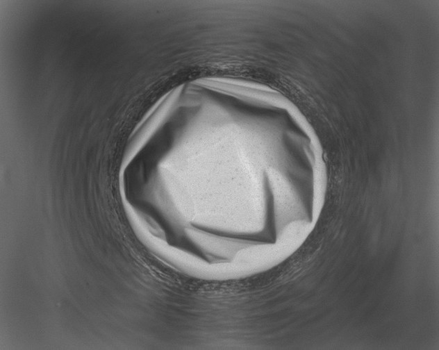 X0000082950817200702222311