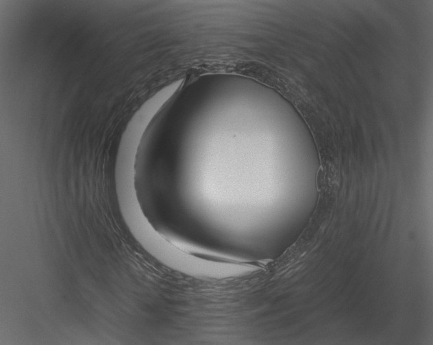 X0000082950818200702222311