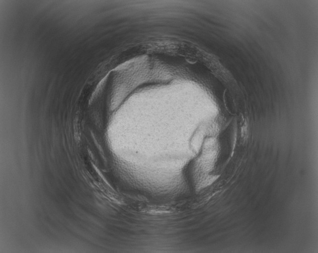 X0000082950819200702222311