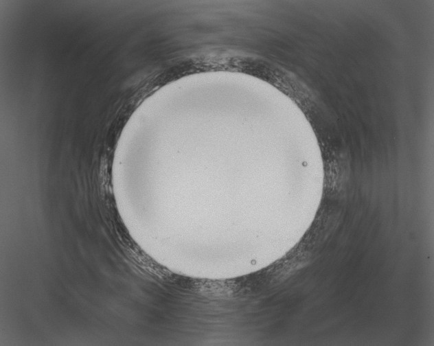 X0000082950820200702222311