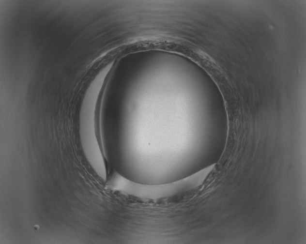 X0000082950822200702222311