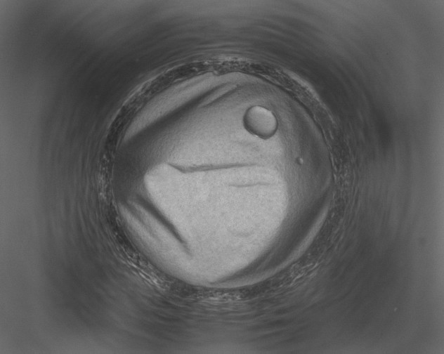 X0000082950823200702222311