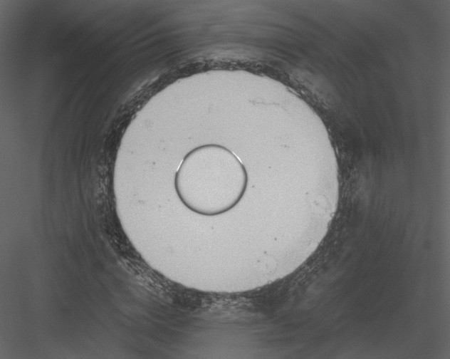 X0000082950824200702222311