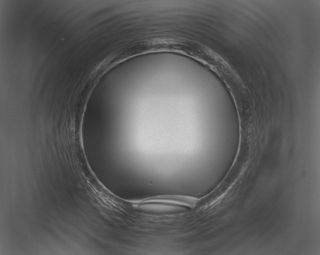 X0000082950825200702222311