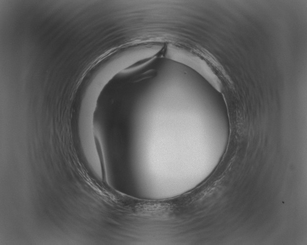 X0000082950826200702222311