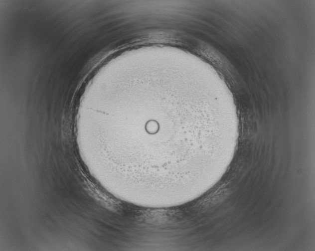 X0000082950828200702222311