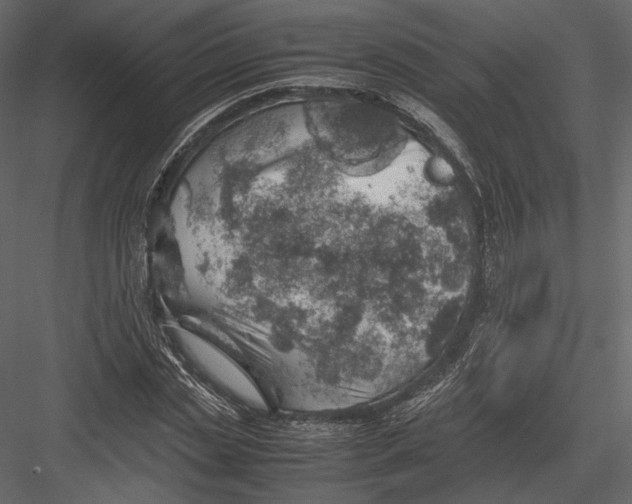 X0000082950829200702222311