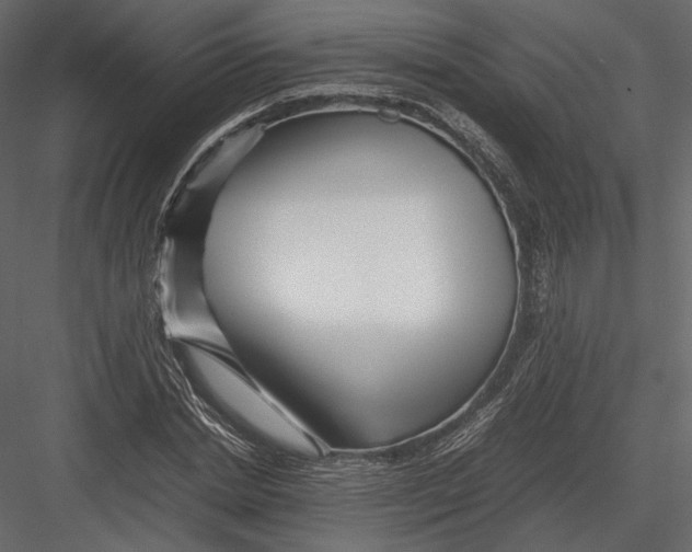 X0000082950830200702222311