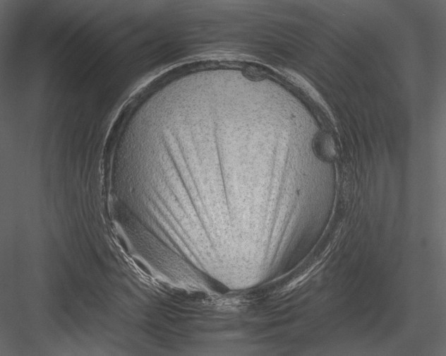 X0000082950831200702222311