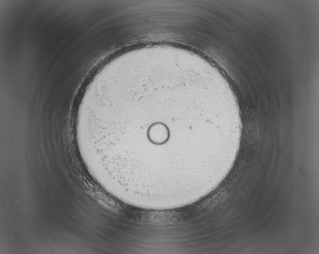 X0000082950832200702222311