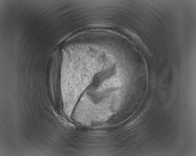 X0000082950833200702222311